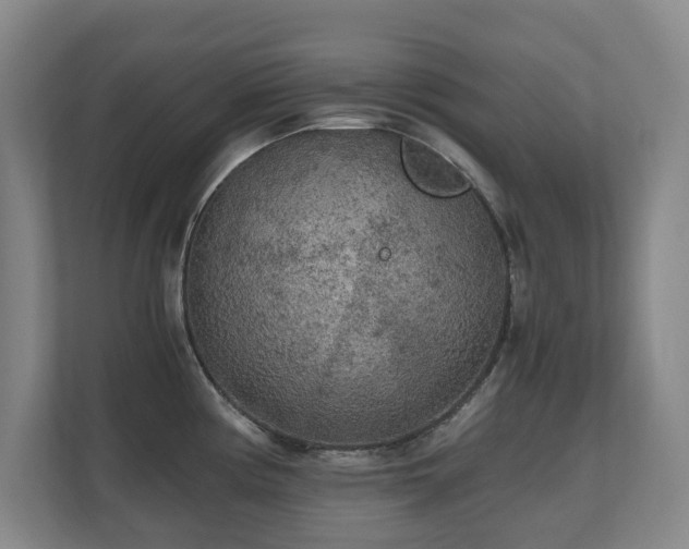 X0000110691194200906121220