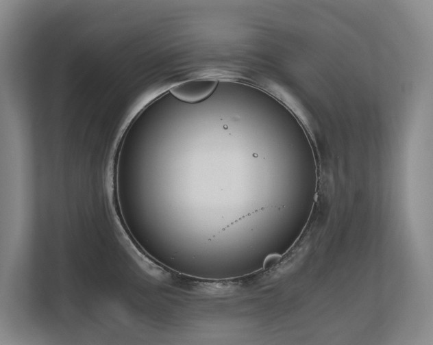 X0000110691195200906121220