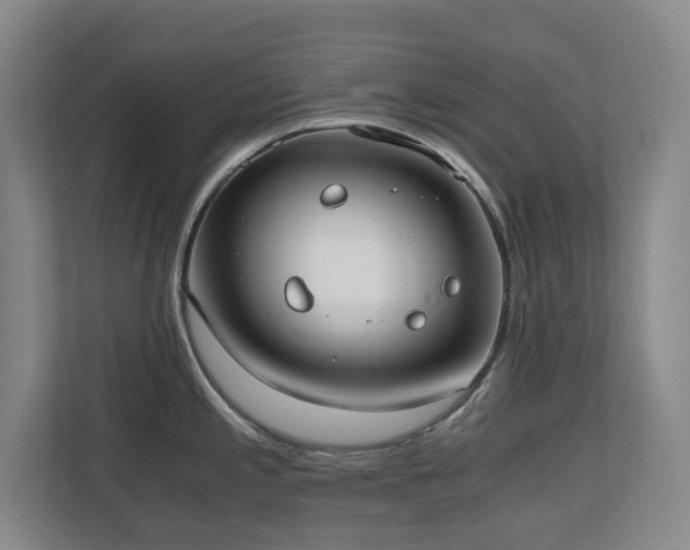 X0000110691197200906121220