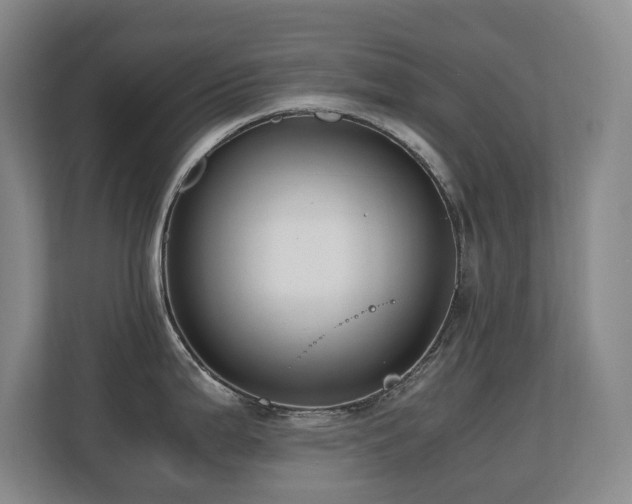 X0000110691199200906121220