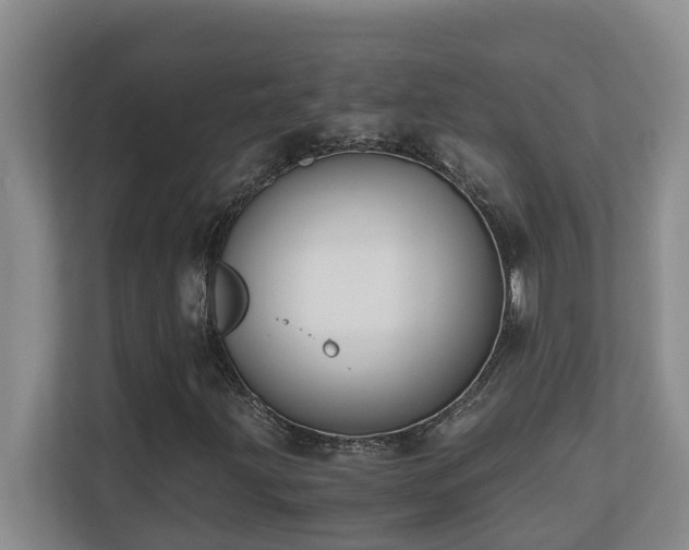 X0000110691203200906121219