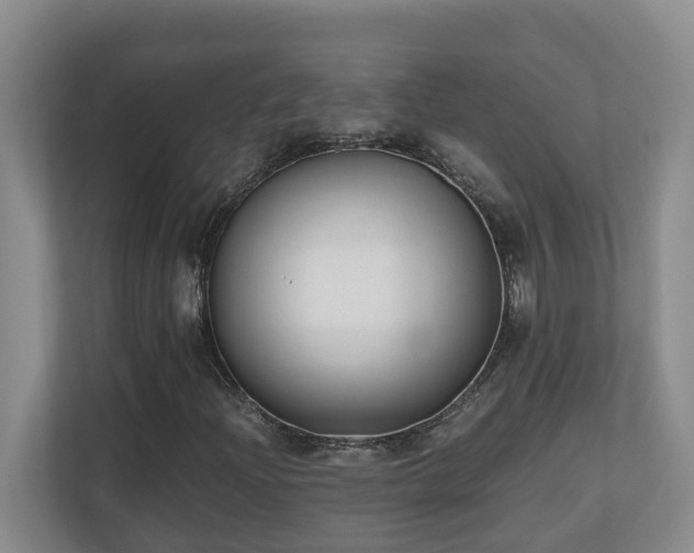 X0000110691204200906121219