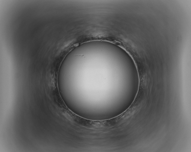 X0000110691205200906121219