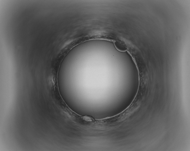 X0000110691206200906121219