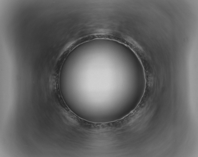 X0000110691208200906121219