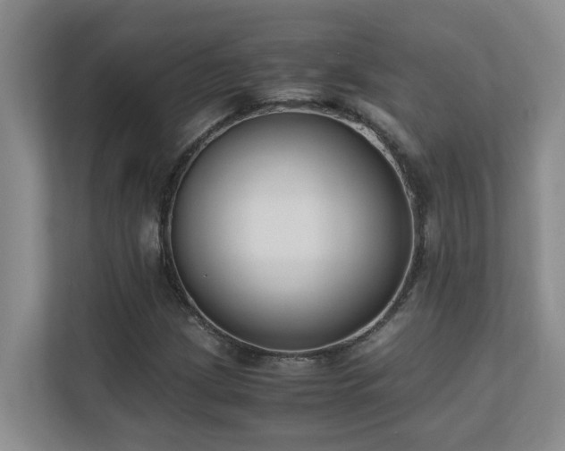 X0000110691209200906121219