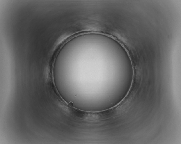 X0000110691215200906121219