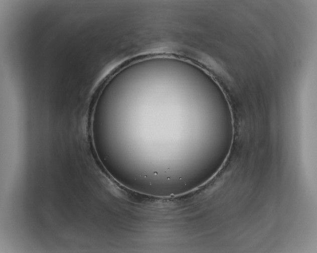 X0000110691216200906121219