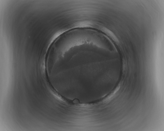 X0000110691226200906121219