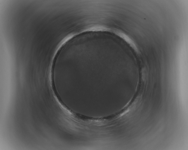 X0000110691229200906121219