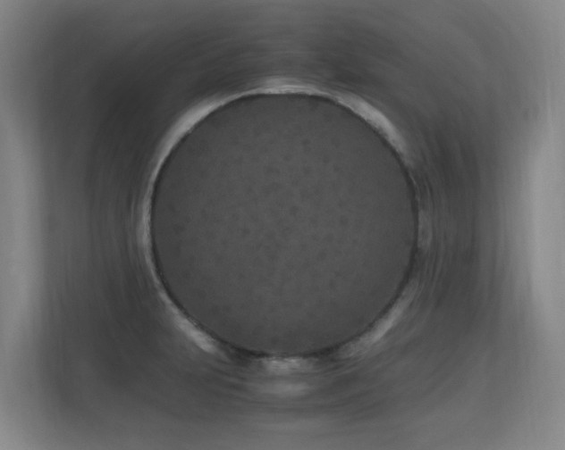 X0000110691231200906121219