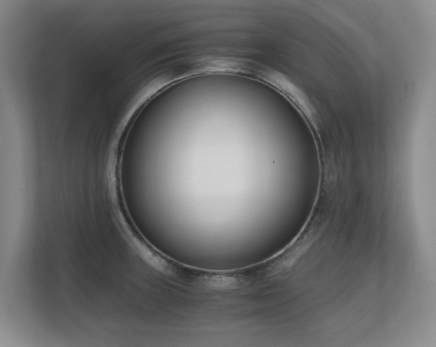 X0000110691235200906121219