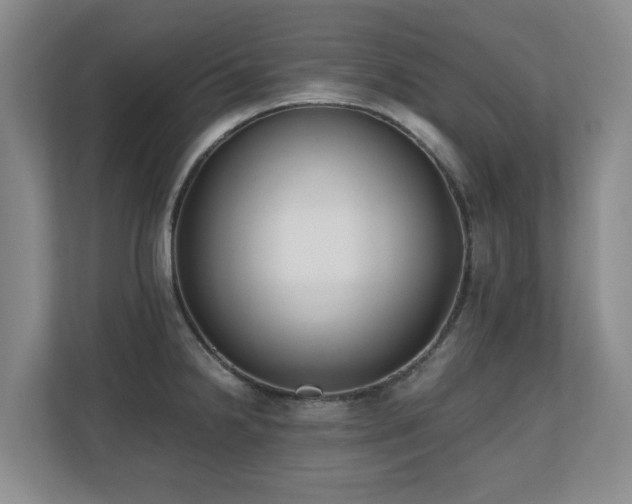 X0000110691238200906121219