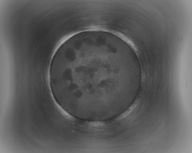 X0000110691239200906121219