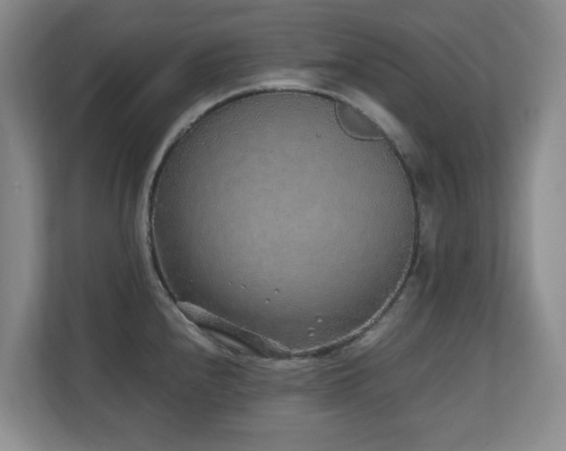 X0000110691240200906121219