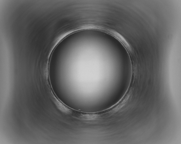 X0000110691244200906121219