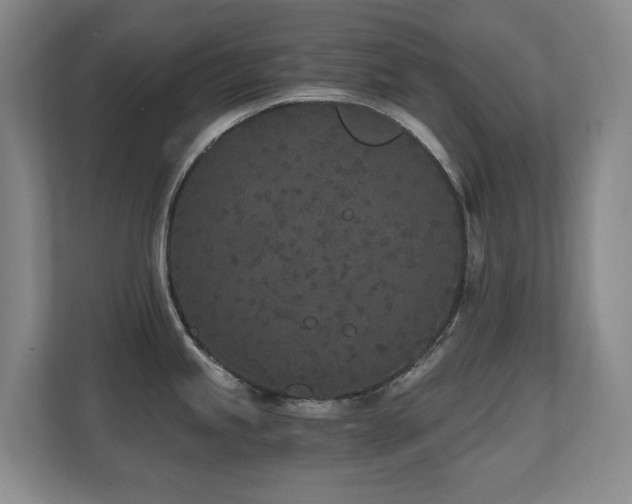 X0000110691245200906121219