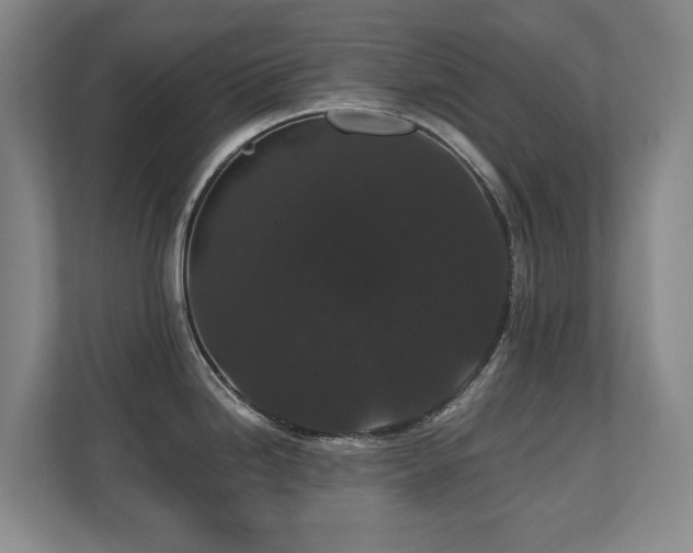 X0000110691246200906121219