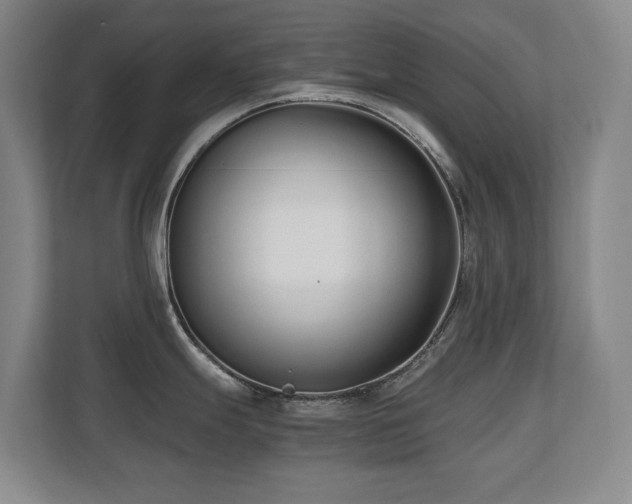 X0000110691247200906121220