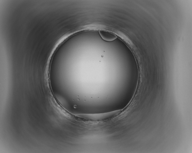 X0000110691248200906121220