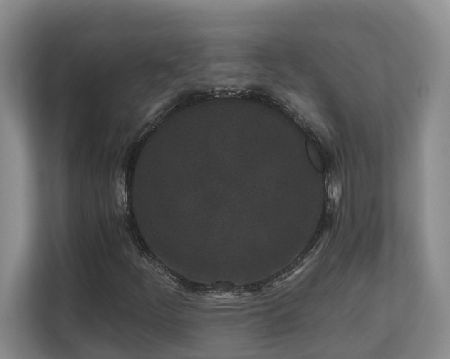 X0000110691252200906121219