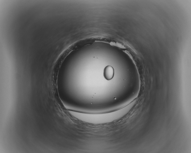 X0000110691256200906121219