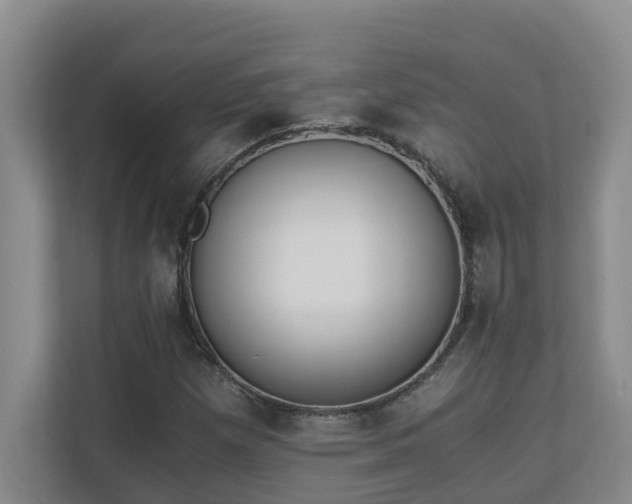 X0000110691257200906121219