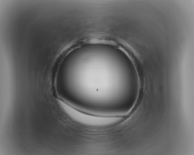 X0000110691261200906121219