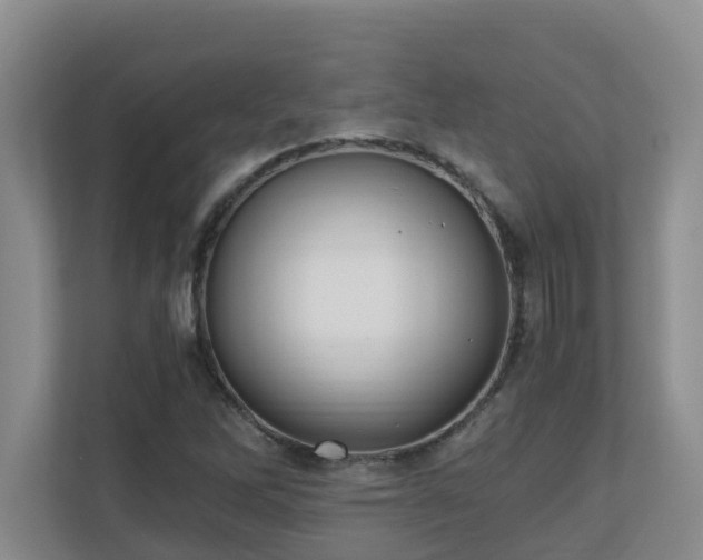 X0000110691262200906121219