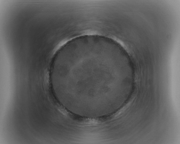 X0000110691263200906121219