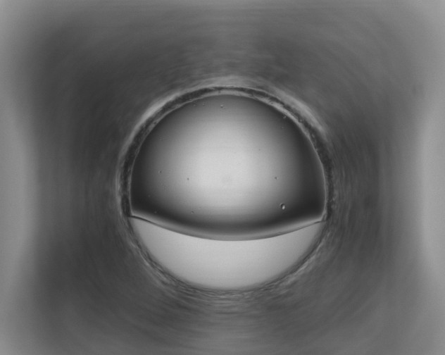 X0000110691264200906121219