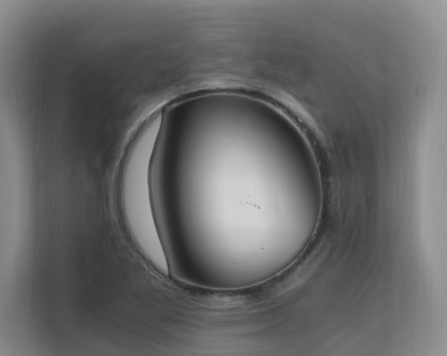 X0000110691269200906121219