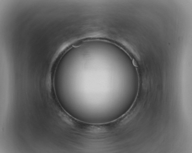 X0000110691270200906121219