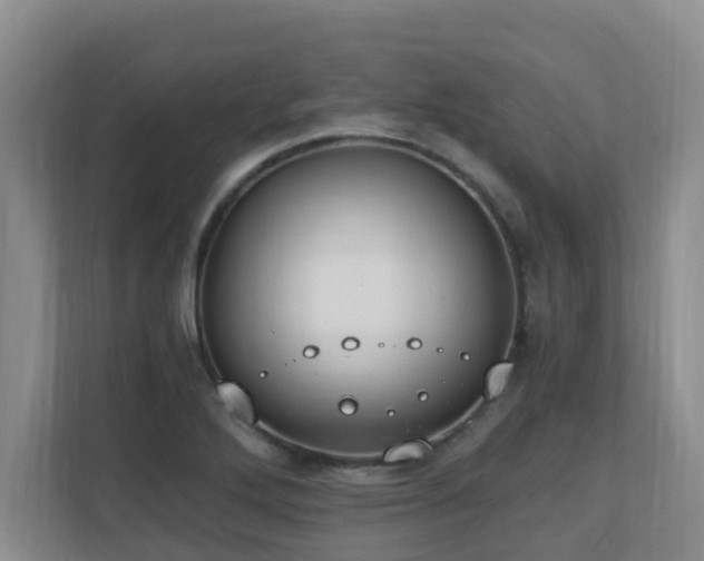 X0000110691272200906121219