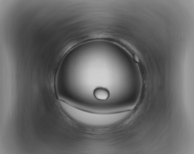 X0000110691273200906121219