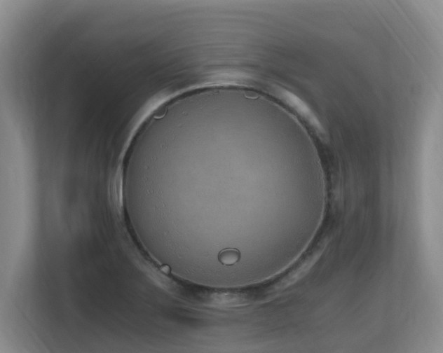 X0000110691275200906121219