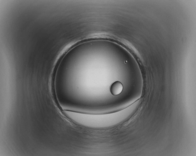 X0000110691277200906121219