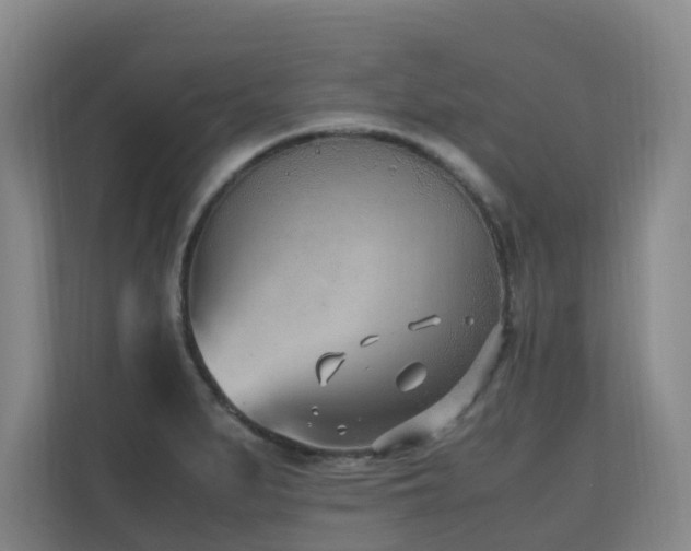 X0000110691279200906121219