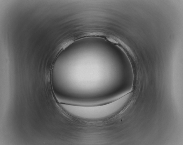 X0000110691281200906121218