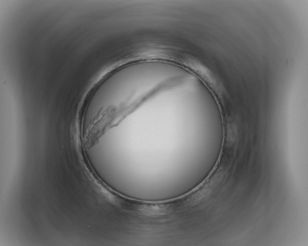 X0000110691286200906121218