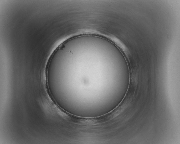 X0000110691287200906121218