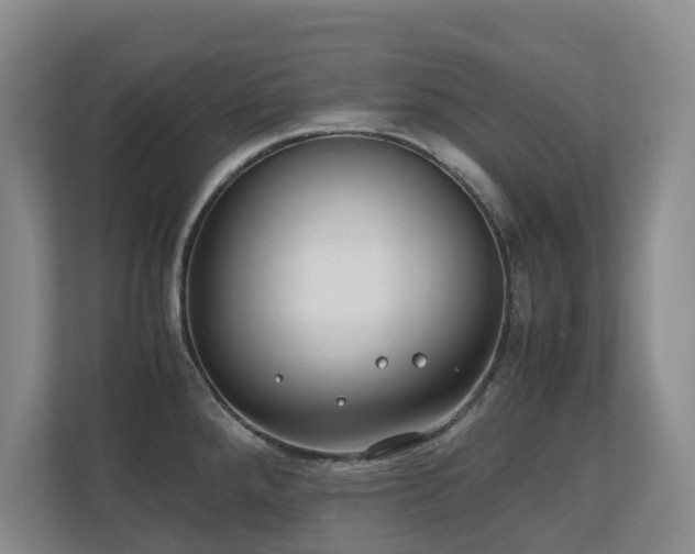 X0000110691288200906121218