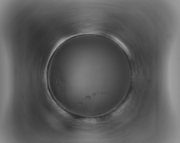 X0000110691291200906121218