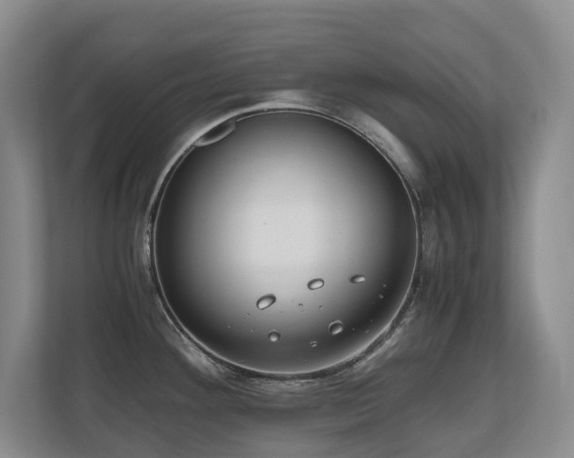 X0000110691292200906121218