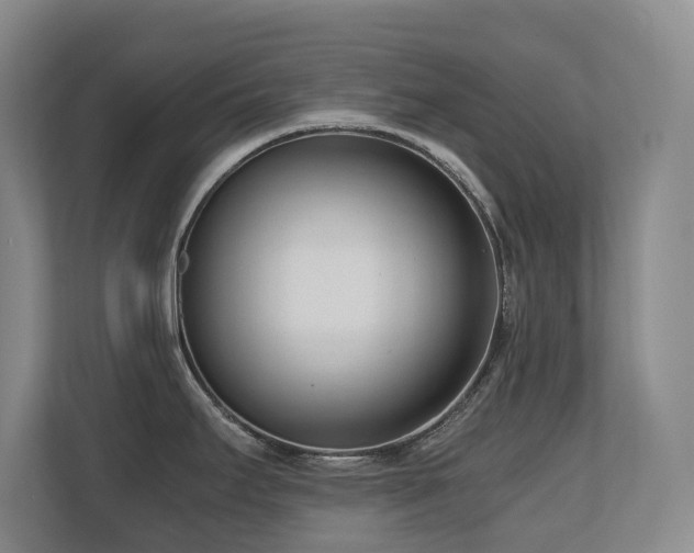 X0000110691295200906121218