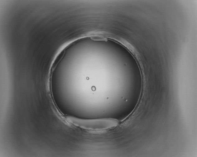 X0000110691296200906121218