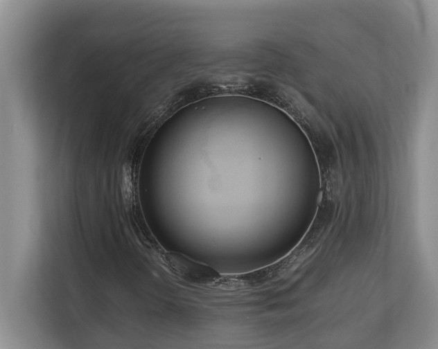 X0000110691298200906121218