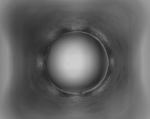 X0000110691300200906121218