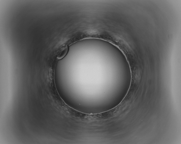 X0000110691301200906121218