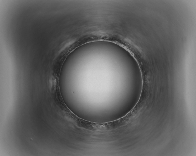 X0000110691302200906121218